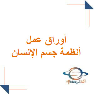 أوراق عمل مادة أنظمة جسم الإنسان الثالث الثانوي الفصل الاول أوراق عمل مادة أنظمة جسم الإنسان الثالث الثانوي الفصل الاول
