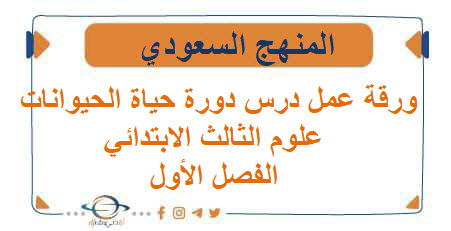 ورقة عمل درس دورة حياة الحيوانات علوم الثالث الابتدائي الفصل الأول ورقة عمل درس دورة حياة الحيوانات علوم الثالث الابتدائي الفصل الأول